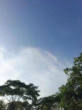 Blue Sky With Wispy Clouds Above Tropical Trees Blue Sky With Wispy Clouds  Stock-Fotos