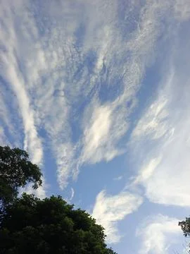 Blue Sky With Wispy Clouds Above Tropical Trees Blue Sky With Wispy Clouds  Foto stock