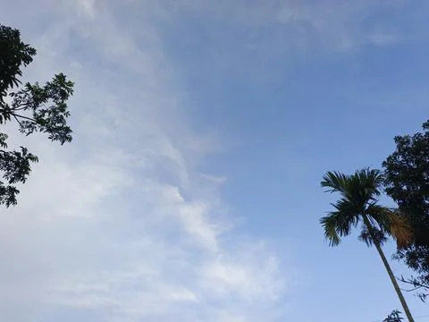 Blue Sky With Wispy Clouds Above Tropical Trees Blue Sky With Wispy Clouds  Stock Photos