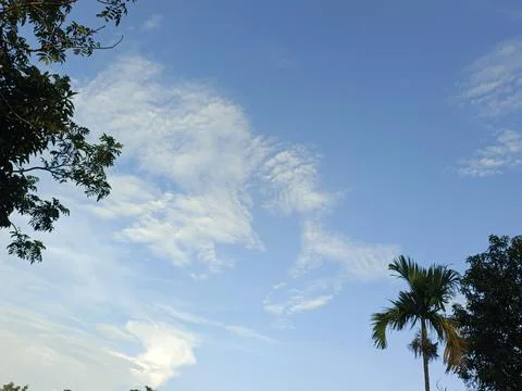 Blue Sky With Wispy Clouds Above Tropical Trees Blue Sky With Wispy Clouds  Photos