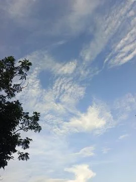 Blue Sky With Wispy Clouds Above Tropical Trees Blue Sky With Wispy Clouds  Photos