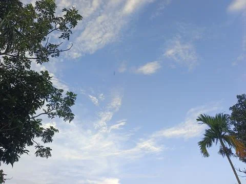 Blue Sky With Wispy Clouds Above Tropical Trees Blue Sky With Wispy Clouds  Stock Photos