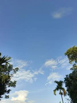 Blue Sky With Wispy Clouds Above Tropical Trees Blue Sky With Wispy Clouds  Stock Photos