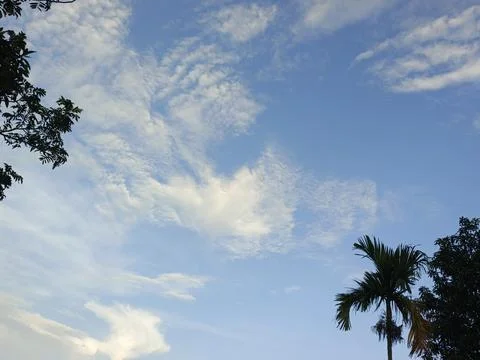 Blue Sky With Wispy Clouds Above Tropical Trees Blue Sky With Wispy Clouds  Stock Photos
