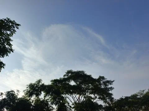 Blue Sky With Wispy Clouds Above Tropical Trees Blue Sky With Wispy Clouds  写真素材