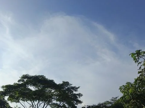 Blue Sky With Wispy Clouds Above Tropical Trees Blue Sky With Wispy Clouds  Foto stock