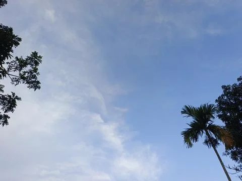 Blue Sky With Wispy Clouds Above Tropical Trees Blue Sky With Wispy Clouds  Stock Photos