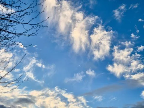 Blue Sky With Wispy Clouds and Bare Branches Stock Photos