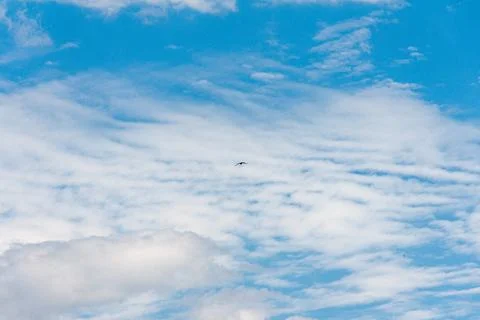 Blue sky withe clouds , bird flying Stock Photos