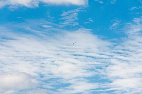 Blue sky withe clouds , bird flying Stock Photos