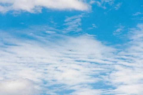 Blue sky withe clouds , bird flying Stock Photos