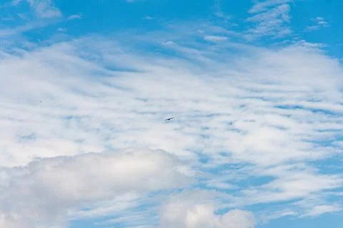 Blue sky withe clouds , bird flying Stock Photos