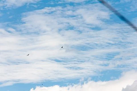 Blue sky withe clouds , bird flying Stock Photos