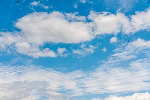 Blue sky withe clouds , bird flying Stock Photos