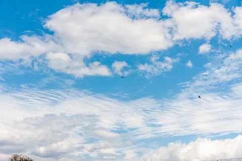Blue sky withe clouds , bird flying Stock Photos