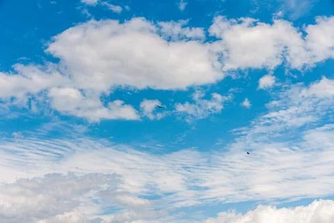 Blue sky withe clouds , bird flying Stock Photos
