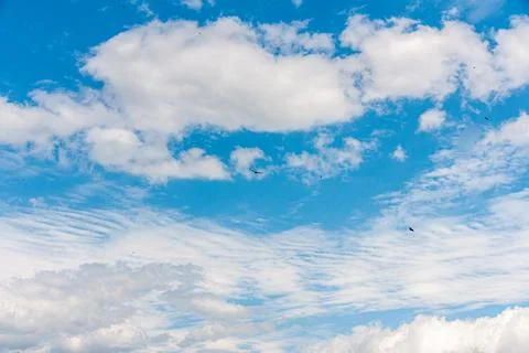 Blue sky withe clouds , bird flying Stock Photos