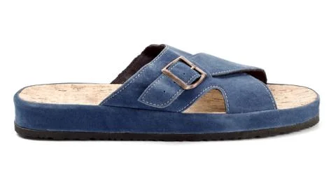 Blue slipper Stock Photos