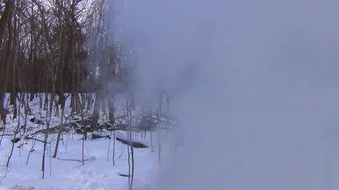 Blue smoke after a fire in a winter forest Stock Footage 122517346