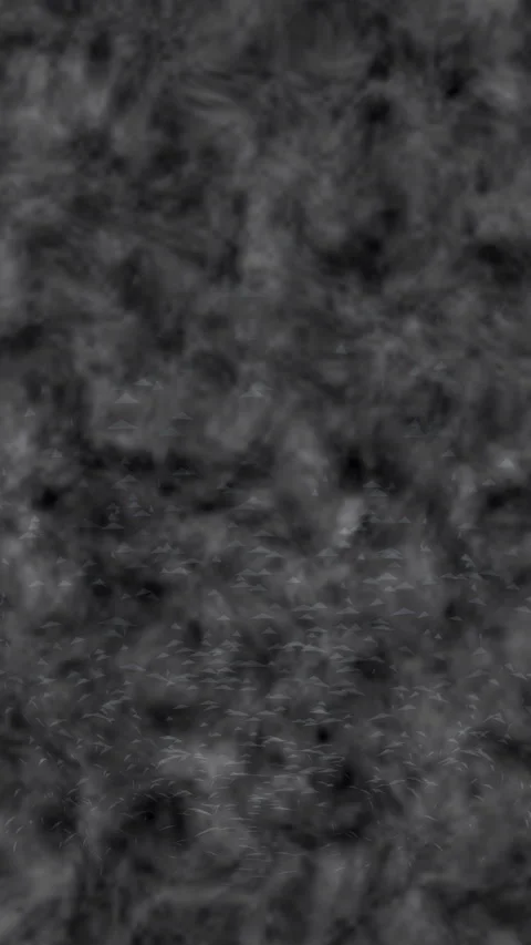 Blue Smoke Atmosphere: A soft, bluish-gray haze against a dark black background. 库存影片 336369285