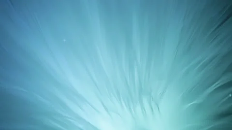 Blue smooth background Stock Footage 35575861