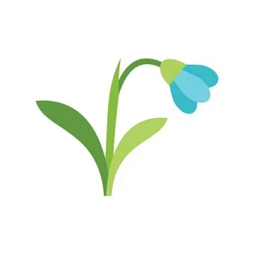 Blue snowdrop flower blooming in spring minimalist illustration Stock Illustration