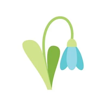 Blue snowdrop flower blooming in springtime minimalist illustration Illustration