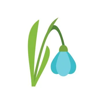 Blue snowdrop flower blooming in springtime Illustration