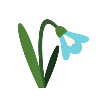 Blue snowdrop flower blooming in springtime minimalist illustration Illustration