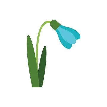 Blue snowdrop flower blooming in springtime Illustration