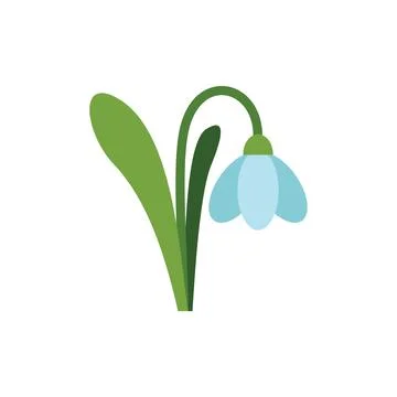 Blue snowdrop flower blooming in springtime Illustration