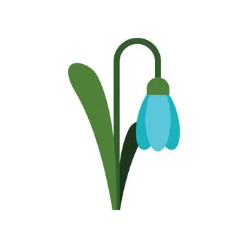 Blue snowdrop flower blooming in springtime Illustration