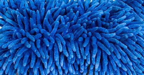 Blue soft textured background Stock Photos