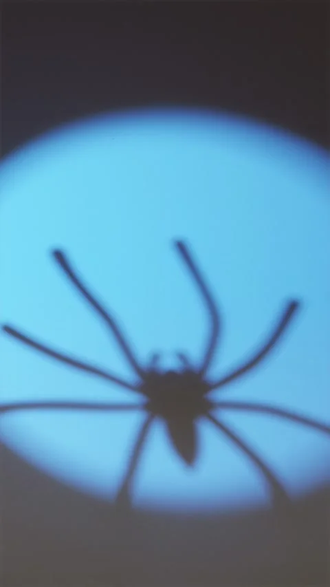 Blue spotlight on straw background with moving spider shadow Stock Footage 342423044