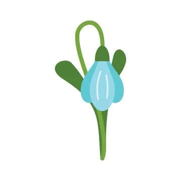 Blue spring flower snowdrop blooming from ground Stock Illustration