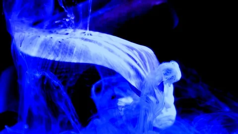 Blue Spring Flowers In Fast Motion On Inspirational Footage Stock Footage 103590799