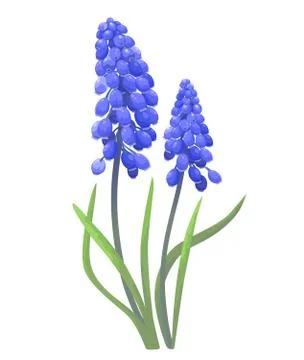 Blue spring flowers Stock Illustration