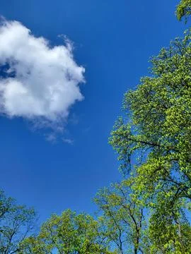 Blue spring sky with single white cloud Stock Photos