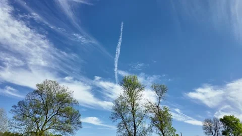 A blue spring sky with trees in the background. Stock Footage 317681840