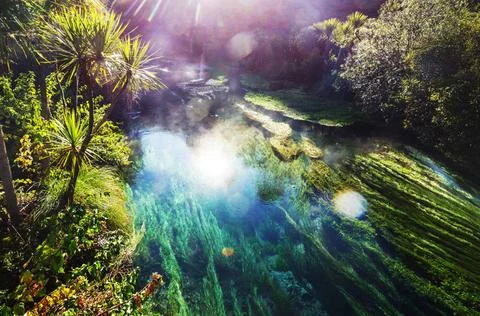 Blue spring Unusual blue spring in New Zealand. Beautiful natural landscap... 스톡 사진