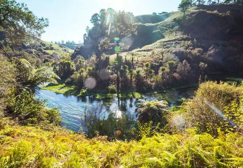 Blue spring Unusual blue spring in New Zealand. Beautiful natural landscap... 스톡 사진