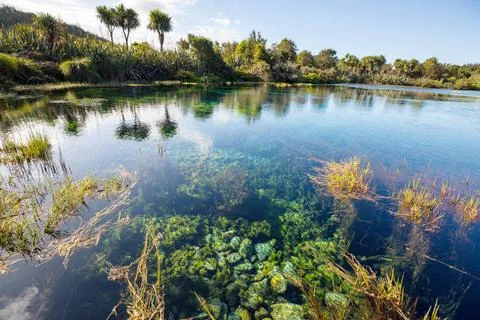 Blue spring Unusual blue spring in New Zealand. Beautiful natural landscap... 스톡 사진
