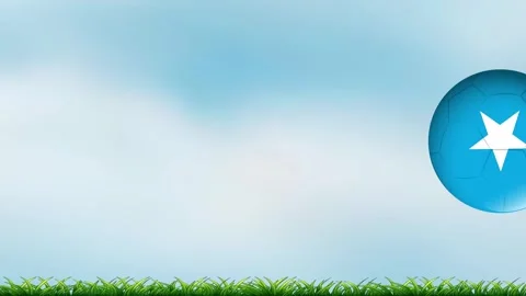 Blue Star Patterned Soccer Ball Bouncing Across Green Grass Field Stock Footage 339988654