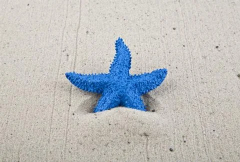 Blue starfish Stock-Fotos