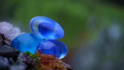 Blue stone spring footage Stock Footage 87658148