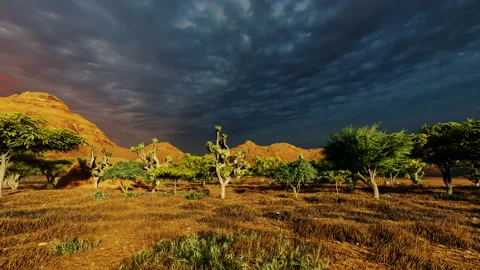 Blue storm evening sunset dusk clouds old american west navajo desert nature Vidéo 181677655