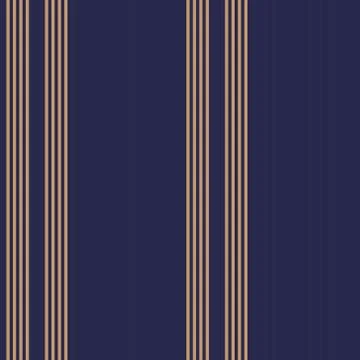 Blue Stripe seamless pattern background in vertical style Stock Illustration