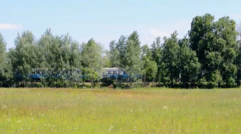 Blue suburban electric train under green trees, fast transportation, sunny day, Video stock 52372075