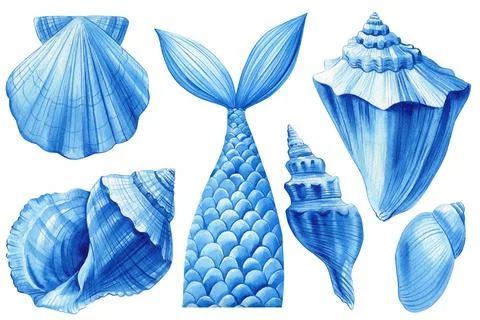 Blue summer set of seashells, isolated white background, watercolor hand-drawing Stock Illustration