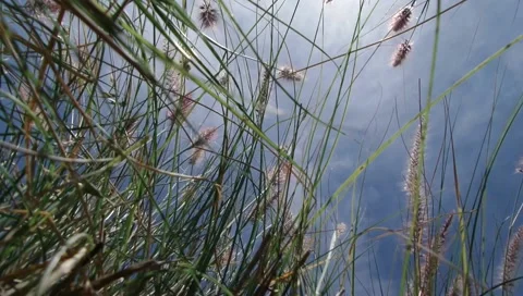 Blue summer sky Video stock 63536026